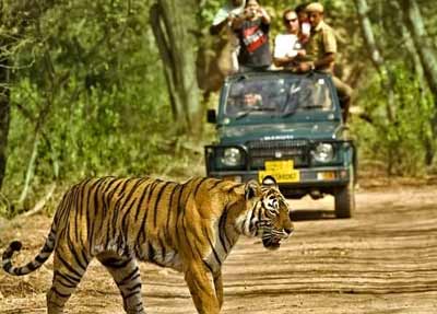 Wildlife Sanctuaries